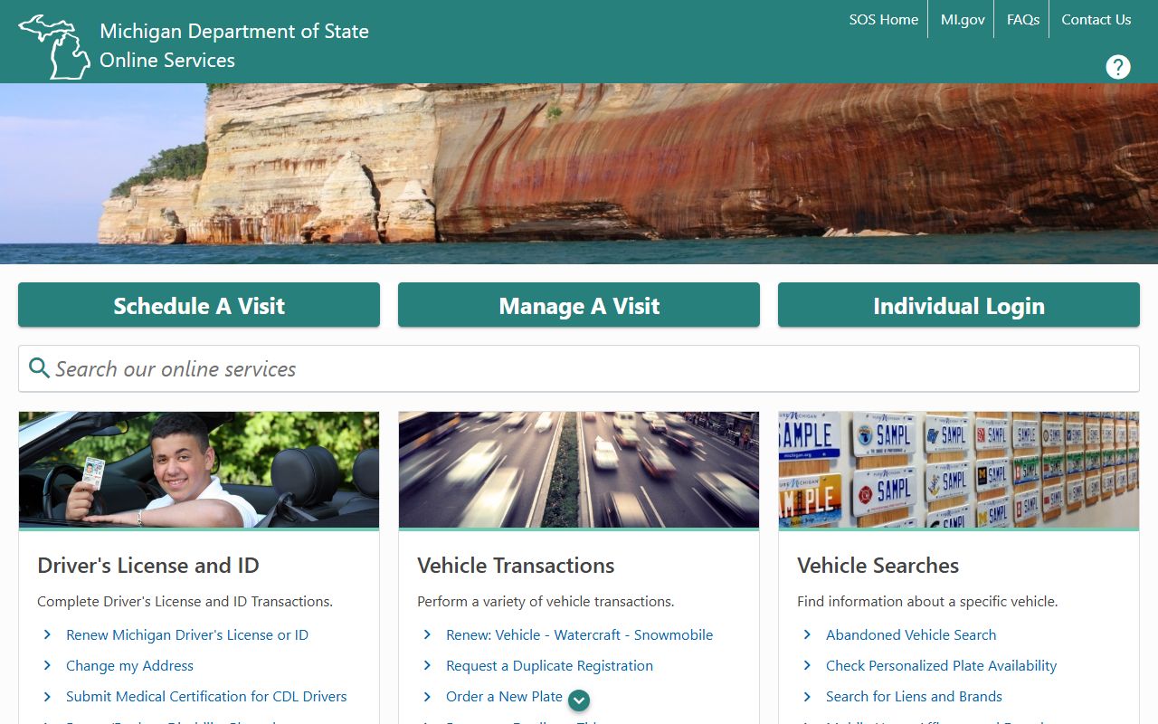 Sanilac County traffic court records Michigan Department of State e-Services driver record portal